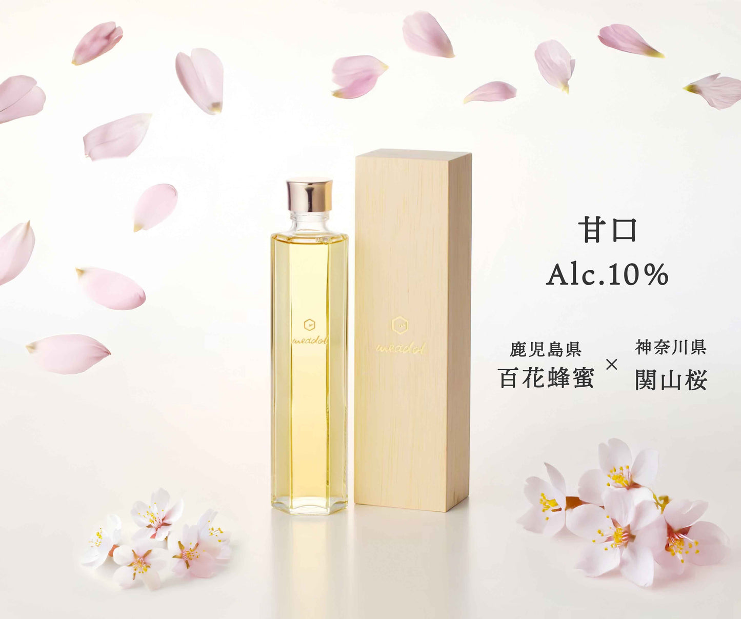 数量限定 meadol -桜-