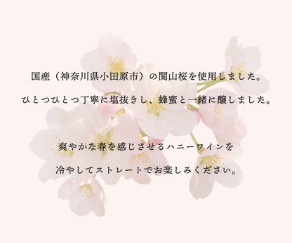 数量限定 meadol -桜-