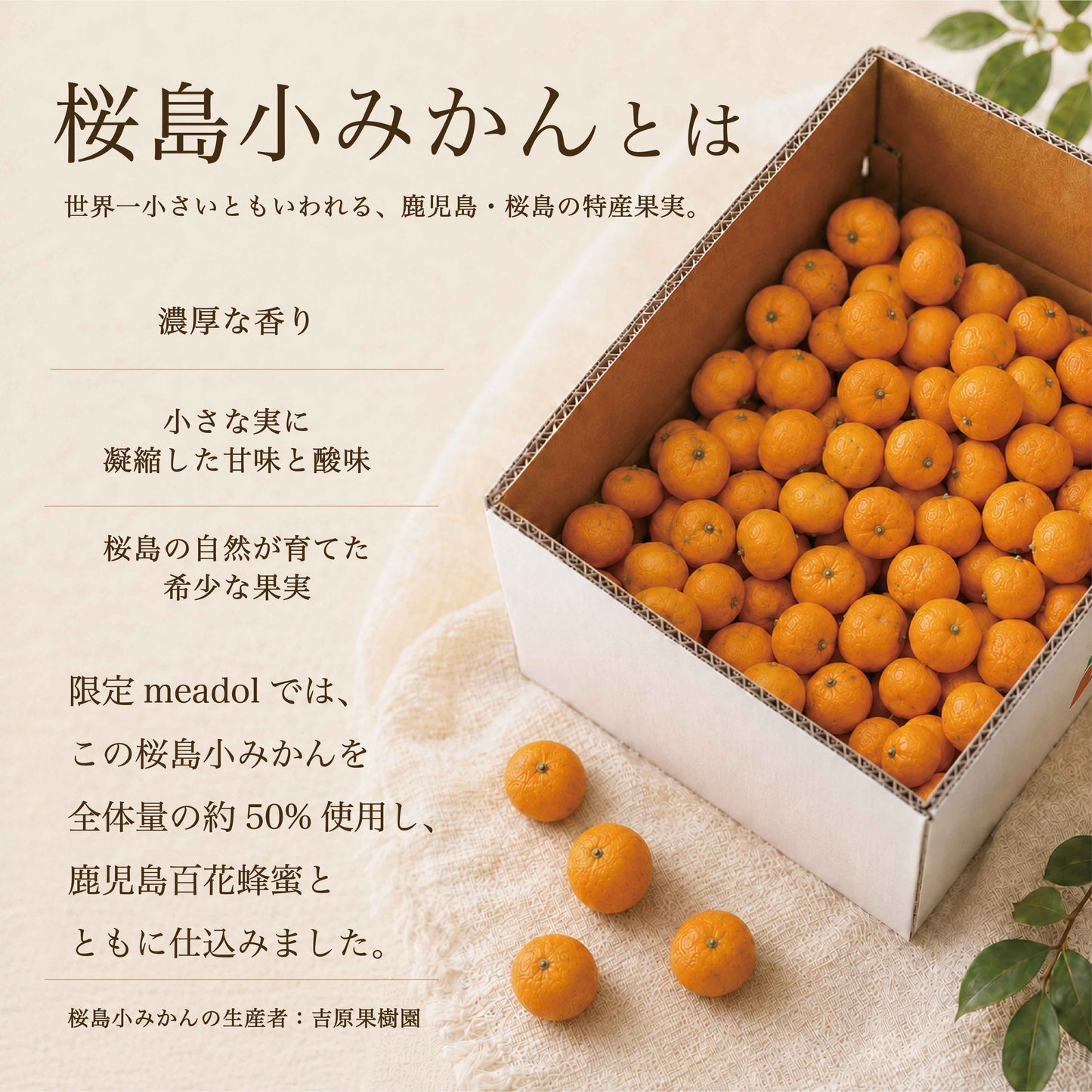 期間限定 meadol 桜島小みかんのハニーワイン