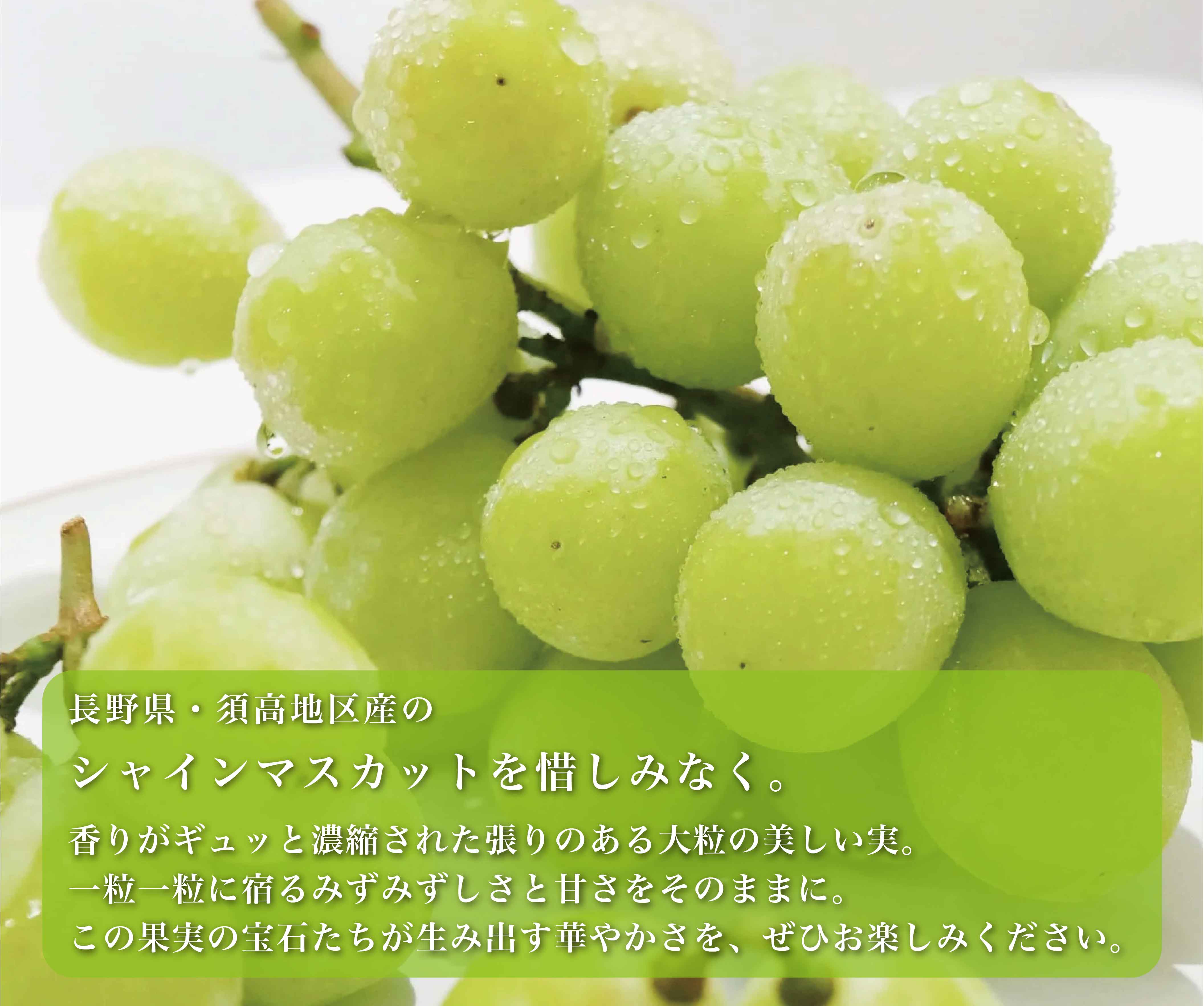 季節限定meadol -シャインマスカット- – HONEY CRAFT