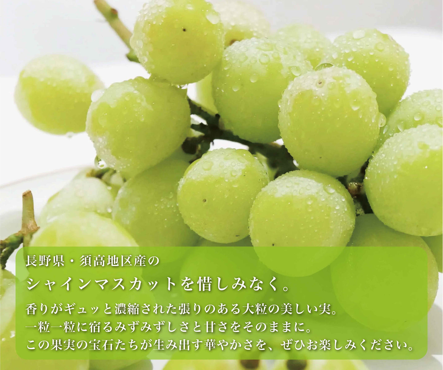 季節限定meadol -シャインマスカット-