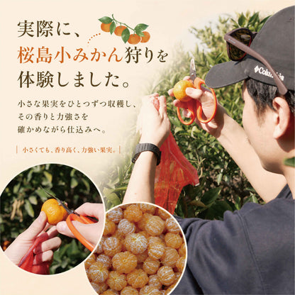 数量限定 meadol 桜島小みかんのハニーワイン